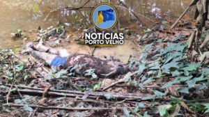 EX-PRESIDIÁRIO DE 29 ANOS É ENCONTRADO AMARRADO E&hellip;